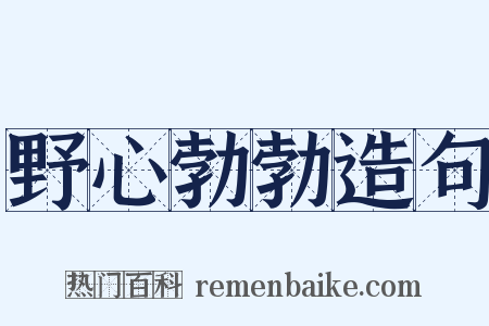 野心勃勃造句是什么意思的图片